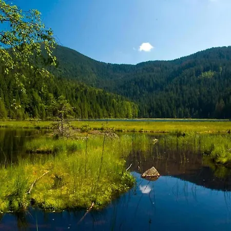 In Bavaria Near The Forest 度假居 *