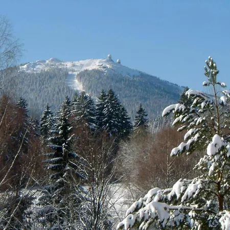 In Bavaria Near The Forest