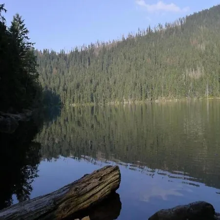 In Bavaria Near The Forest 度假居