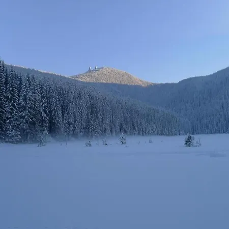 度假居 In Bavaria Near The Forest Rinchnach