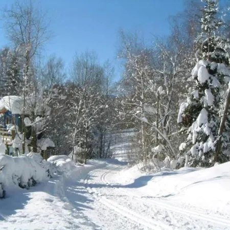 In Bavaria Near The Forest Rinchnach